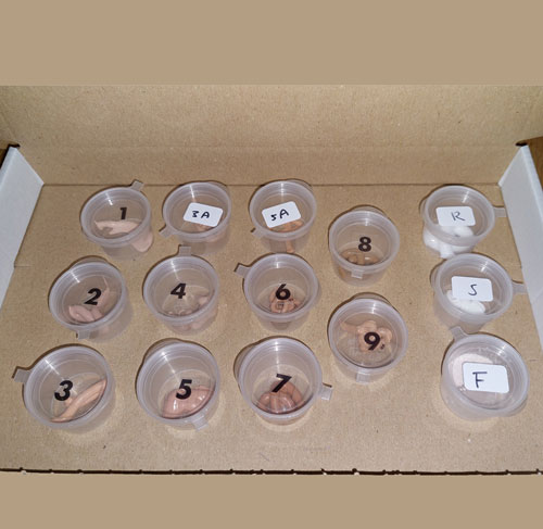 Coverderm Trial Kit